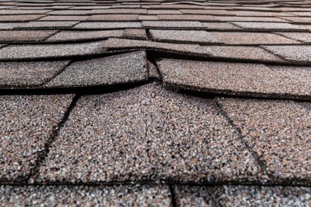 Find the Best Roof Replacement Services Near Me