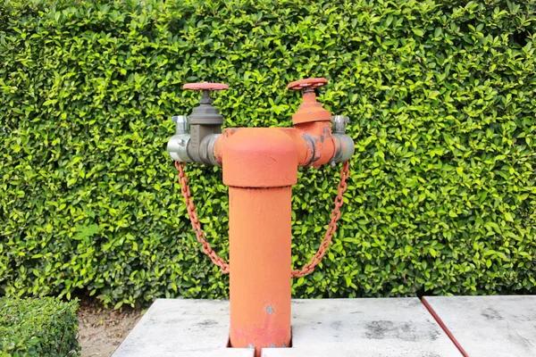 Why Homeowners Choose WiseWay Plumbing Torrance